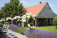 Ovaertine, Zwevegem